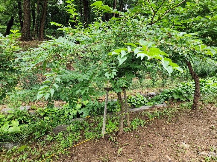 KakaoTalk_20230724_132159805.jpg