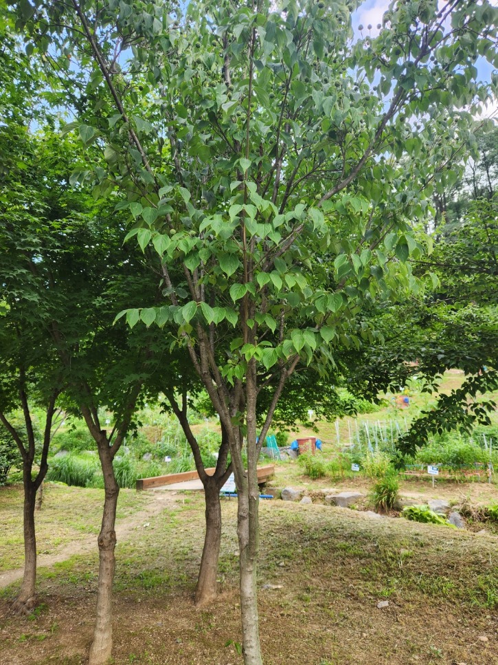 KakaoTalk_20230802_095230964_01.jpg