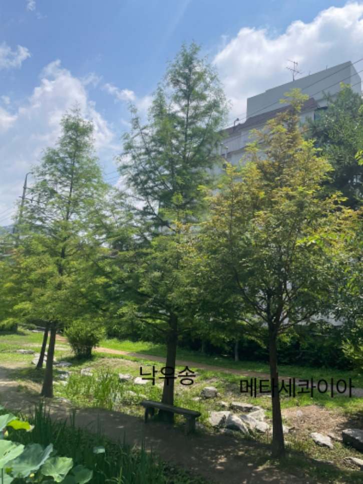 KakaoTalk_20230720_212229623_01.jpg