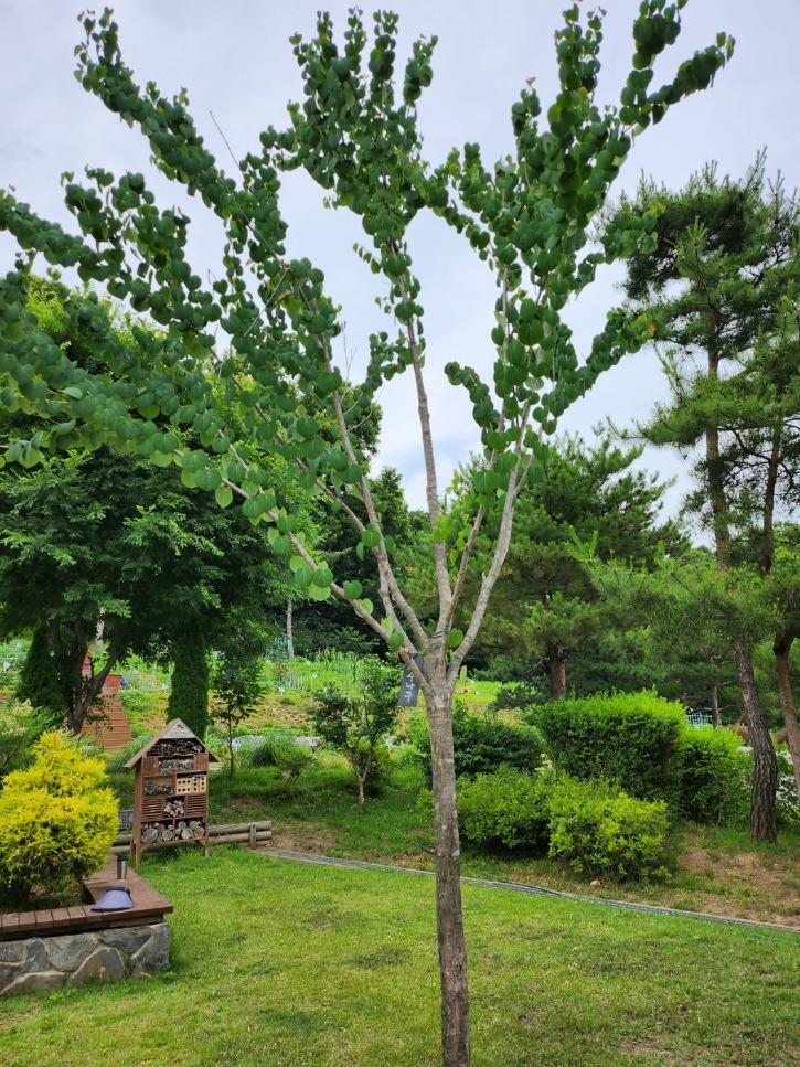 KakaoTalk_20230804_071531780.jpg