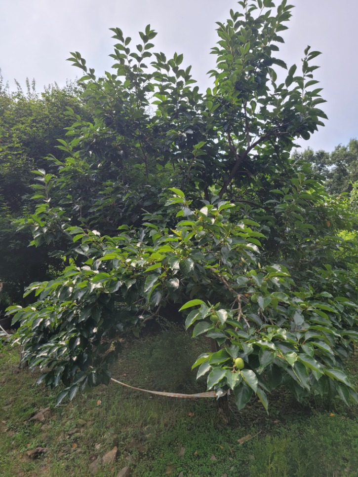 KakaoTalk_20230801_223354465.jpg