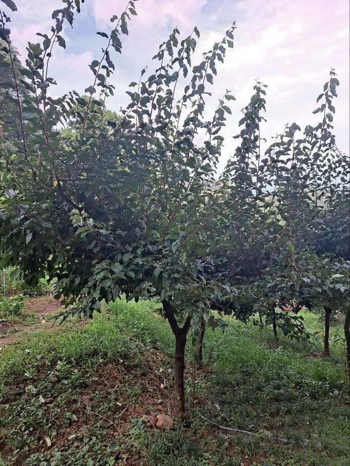 KakaoTalk_20230725_175745831.jpg