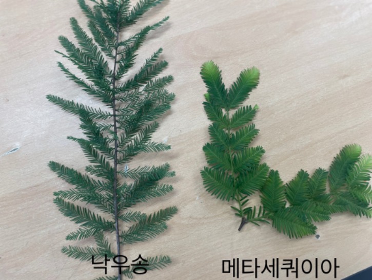 KakaoTalk_20230720_212229623_02.jpg